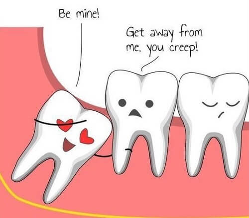 Mọc răng khôn có ý nghĩa gì? 1